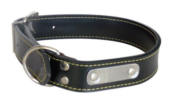 Eastland Ayarlanabilir Boyun Köpek Tasması 50 cm Siyah