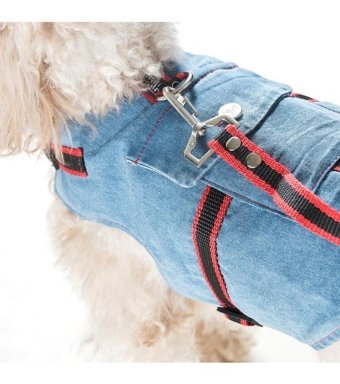 Patipatron Kaçış Önleyici Airtag Ayarlanabilir Köpek Tasması XL Mavi