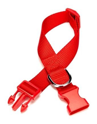 Doggie Classic Ayarlanabilir Boyun Köpek Tasması 2.5 x 40 cm Kırmızı