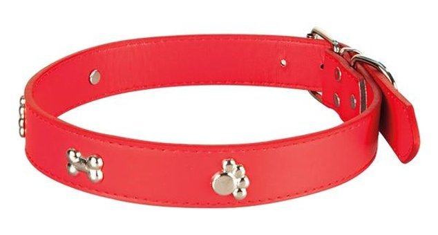 Sanlian Sl2190 Ayarlanabilir Boyun Köpek Tasması 2 x 45 cm kırmızı