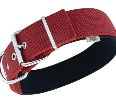 Doggie Elit Ayarlanabilir Boyun Köpek Tasması 5 x 55 - 65 cm Kırmızı