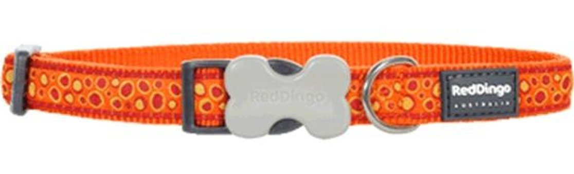Reddingo Ayarlanabilir Boyun Köpek Tasması Turuncu