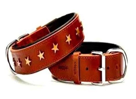 Doggie Sbt4060 Ayarlanabilir Boyun Köpek Tasması L Kahverengi