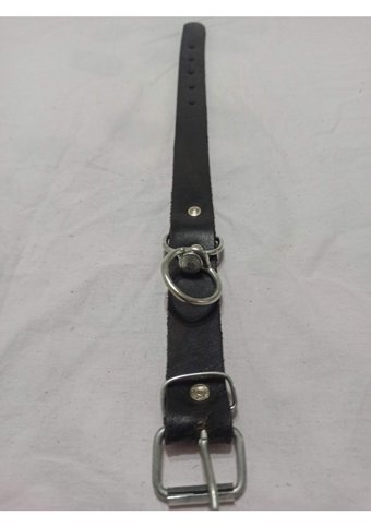 Kozaklı Ayarlanabilir Boyun Köpek Tasması 3 x 50 cm Siyah