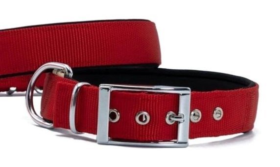 Doggie Elit Ayarlanabilir Boyun Köpek Tasması 3 x 47 - 55 cm Kırmızı