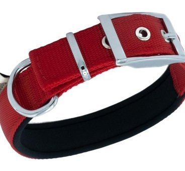 Doggie Elit Ayarlanabilir Boyun Köpek Tasması 2.5 x 37 x 45 cm Kırmızı