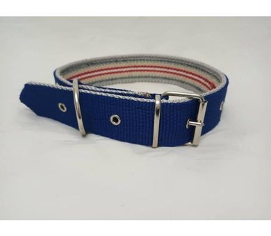 Kozaklı 10480 Ayarlanabilir Köpek Tasması 4 x 70 cm Mavi