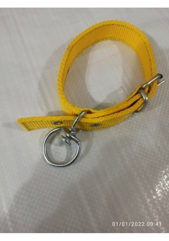 Kozaklı Ayarlanabilir Boyun Köpek Tasması 45 x 50 cm Sarı