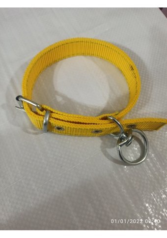 Kozaklı Ayarlanabilir Boyun Köpek Tasması 45 x 50 cm Sarı