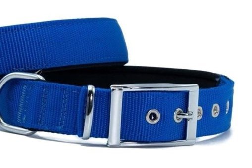 Doggie Elit Ayarlanabilir Boyun Köpek Tasması 3 x 42 - 50 cm Mavi