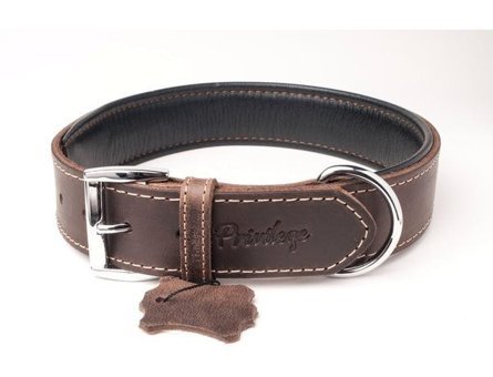 Privilege Ayarlanabilir Boyun Köpek Tasması 2.5 x 32 - 41 cm Koyu Kahverengi