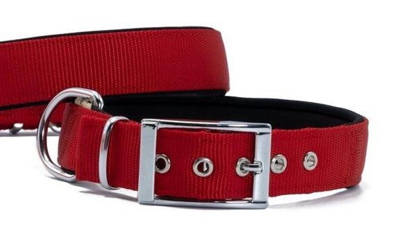 Doggie Elit Ayarlanabilir Boyun Köpek Tasması 3 x 47 x 55 cm Kırmızı