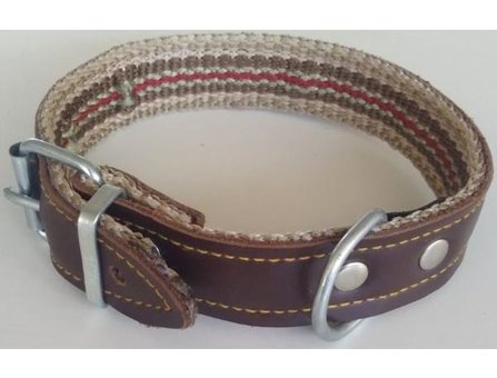 Le-Sar Ls-08 Ayarlanabilir Köpek Tasması 2.5 x 50 cm Çok Renkli