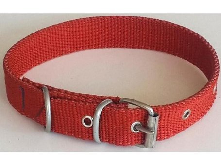 Le-Sar Ls-02 Ayarlanabilir Köpek Tasması 2.5 x 50 cm Çok Renkli