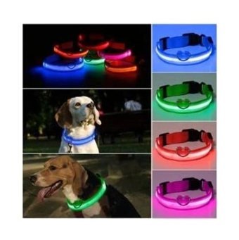 Mg Tasma Ayarlanabilir Boyun Köpek Tasması 3 x 45 cm Mavi