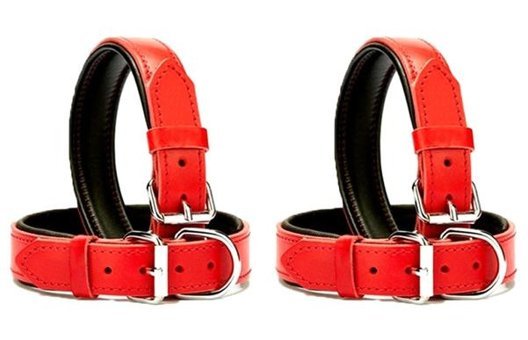 Desingshop Ayarlanabilir Boyun Köpek Tasması 2.5 x 56 cm Kırmızı