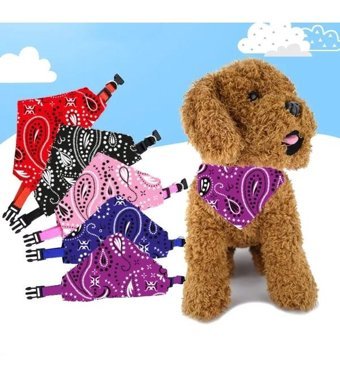 Tineke Ayarlanabilir Boyun Köpek Tasması Mor