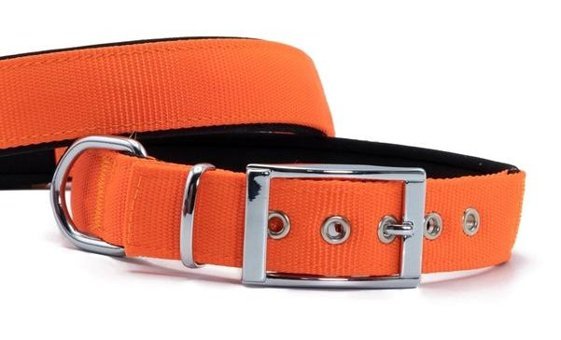 Doggie Elit Ayarlanabilir Boyun Köpek Tasması 3 x 42 x 50 cm Turuncu