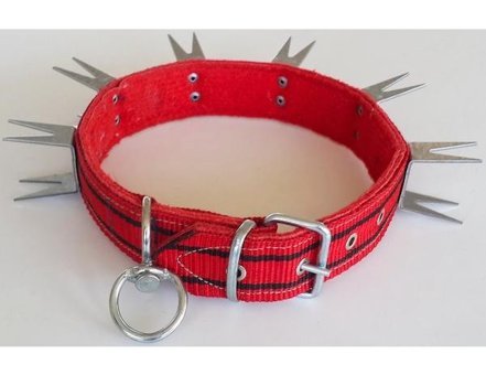 Le-Sar Ls-804 Ayarlanabilir Boyun Köpek Tasması 4 x 70 cm Çok Renkli