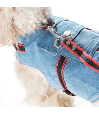 Patipatron Kaçış Önleyici Airtag Ayarlanabilir Köpek Tasması XS Mavi