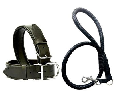 Desingshop Ayarlanabilir Köpek Tasması 90 cm Siyah