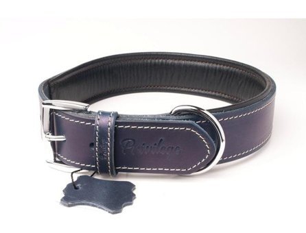Privilege Ayarlanabilir Boyun Köpek Tasması 2.5 x 32 - 41 cm Lacivert