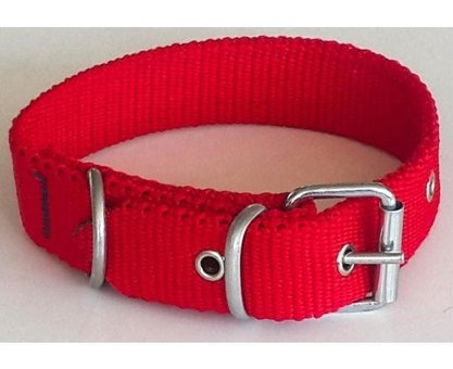 Le-Sar Ls-01 Ayarlanabilir Köpek Tasması 2.5 x 40 cm Çok Renkli