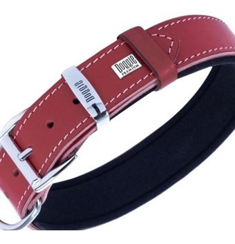 Doggie Comfort Ayarlanabilir Boyun Köpek Tasması 4 x 57 - 65 cm Kırmızı