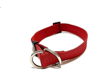 Ehlipet Ayarlanabilir Eğitim Tasması Köpek Tasması 30 - 50 cm Kırmızı