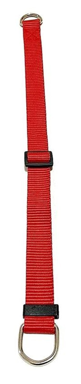 Ehlipet Ayarlanabilir Eğitim Tasması Köpek Tasması 30 - 50 cm Kırmızı