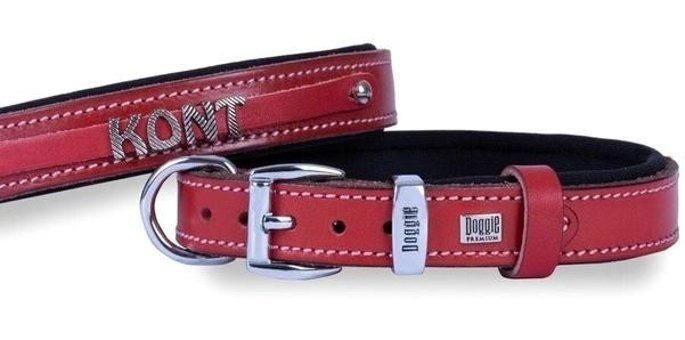 Doggie Konfor İsimli Ayarlanabilir Boyun Köpek Tasması 1.5 x 25 - 30 cm Kırmızı