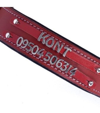 Doggie İsimli Ayarlanabilir Boyun Köpek Tasması 4 x 47 - 55 cm Kırmızı