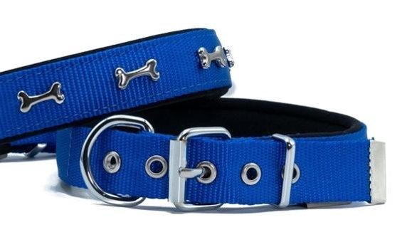 Doggie Comfort Ayarlanabilir Boyun Köpek Tasması 2.5 x 37 - 45 cm Mavi