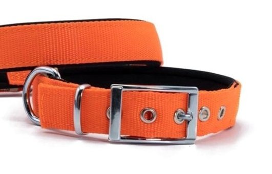 Doggie Elit Ayarlanabilir Boyun Köpek Tasması 2.5 x 37 - 45 cm Turuncu