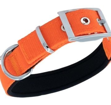 Doggie Elit Ayarlanabilir Boyun Köpek Tasması 2.5 x 37 - 45 cm Turuncu