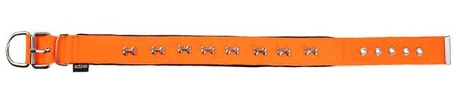 Actirex Ayarlanabilir Boyun Köpek Tasması 3 x 42 - 50 cm Turuncu