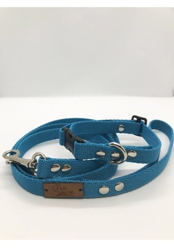 Patipatron Ayarlanabilir Köpek Tasması M Turkuaz