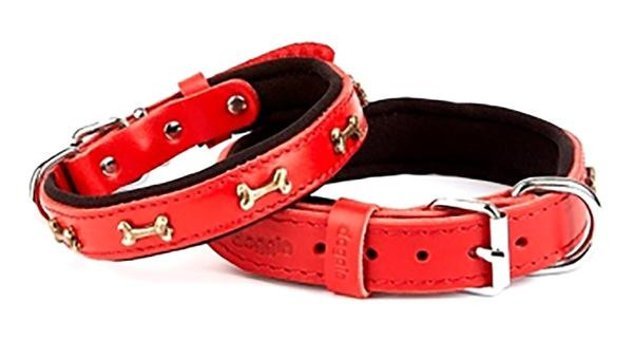 Doggie Ayarlanabilir Boyun Köpek Tasması 2.5 x 37 - 45 cm Kırmızı