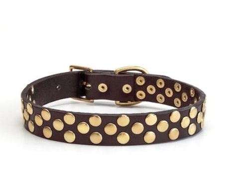 CecePet Aten Ayarlanabilir Köpek Tasması 46 - 55 cm Kahverengi