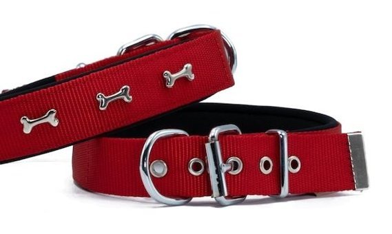 Doggie Comfort Ayarlanabilir Boyun Köpek Tasması 3 x 42 - 50 cm Kırmızı