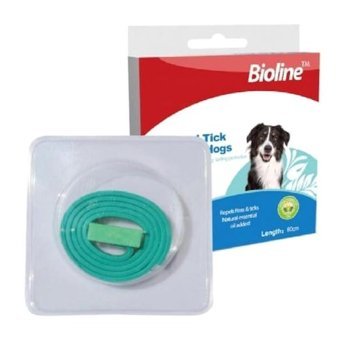Bioline Köpek Tasması 60 cm Yeşil