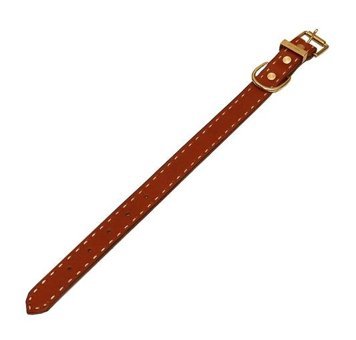 CecePet Horus Ayarlanabilir Köpek Tasması 36 - 45 cm Siyah