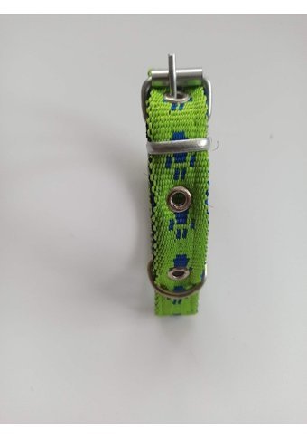 Kozaklı Ayarlanabilir Boyun Köpek Tasması 2 x 40 cm Yeşil