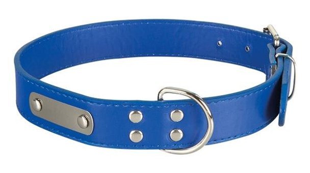 Sanlian Sl2220 İsimli Ayarlanabilir Boyun Köpek Tasması 3.5 x 65 cm mavi