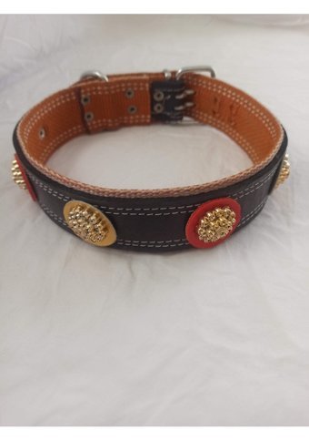 Kozaklı Ayarlanabilir Boyun Köpek Tasması 5 x 65 x 70 x 75 cm Siyah