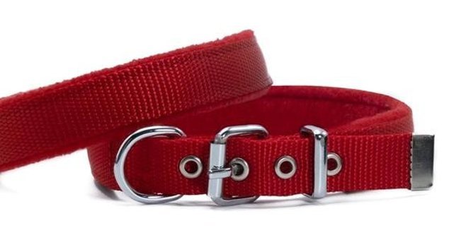 Doggie Ayarlanabilir Boyun Köpek Tasması 2 x 35 x 40 cm Kırmızı