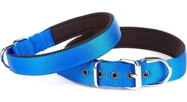 Doggie Konfor Ayarlanabilir Boyun Köpek Tasması 2.5 x 37 - 45 Mavi