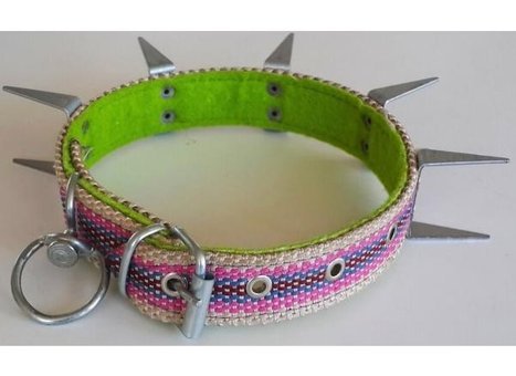 Le-Sar Ls-800 Ayarlanabilir Köpek Tasması 3 x 50 cm Çok Renkli