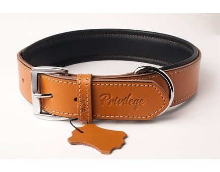 Privilege Ayarlanabilir Boyun Köpek Tasması 2.5 x 32 - 41 cm Camel