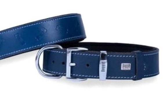 Doggie Konfor Ayarlanabilir Boyun Köpek Tasması 4 x 47 - 55 cm Mavi